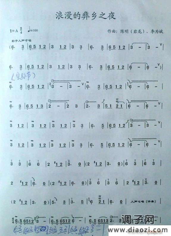 浪漫的彝乡之夜