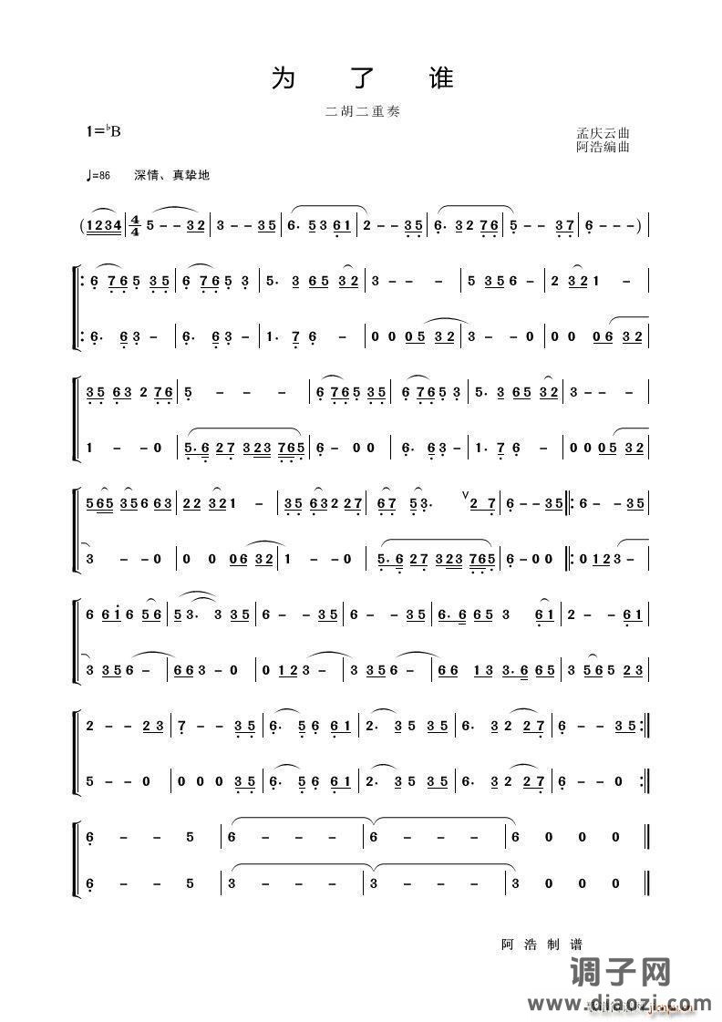 为了谁（二胡二重奏）