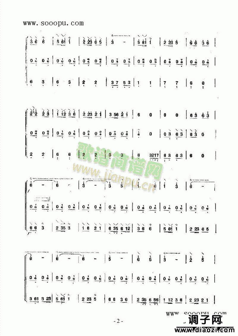 小牧民 民乐类 阮