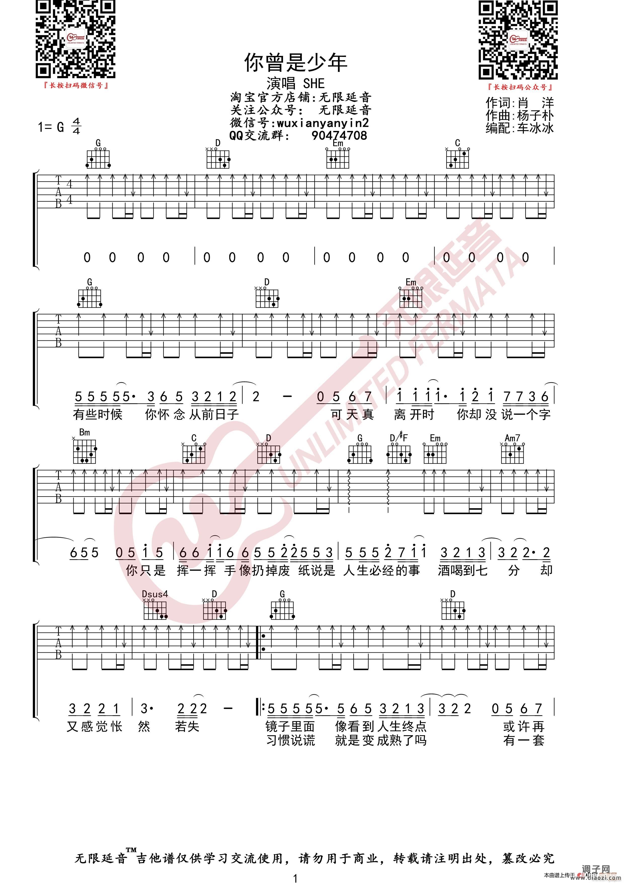 SHE 你曾是少年 (无限延音编配)