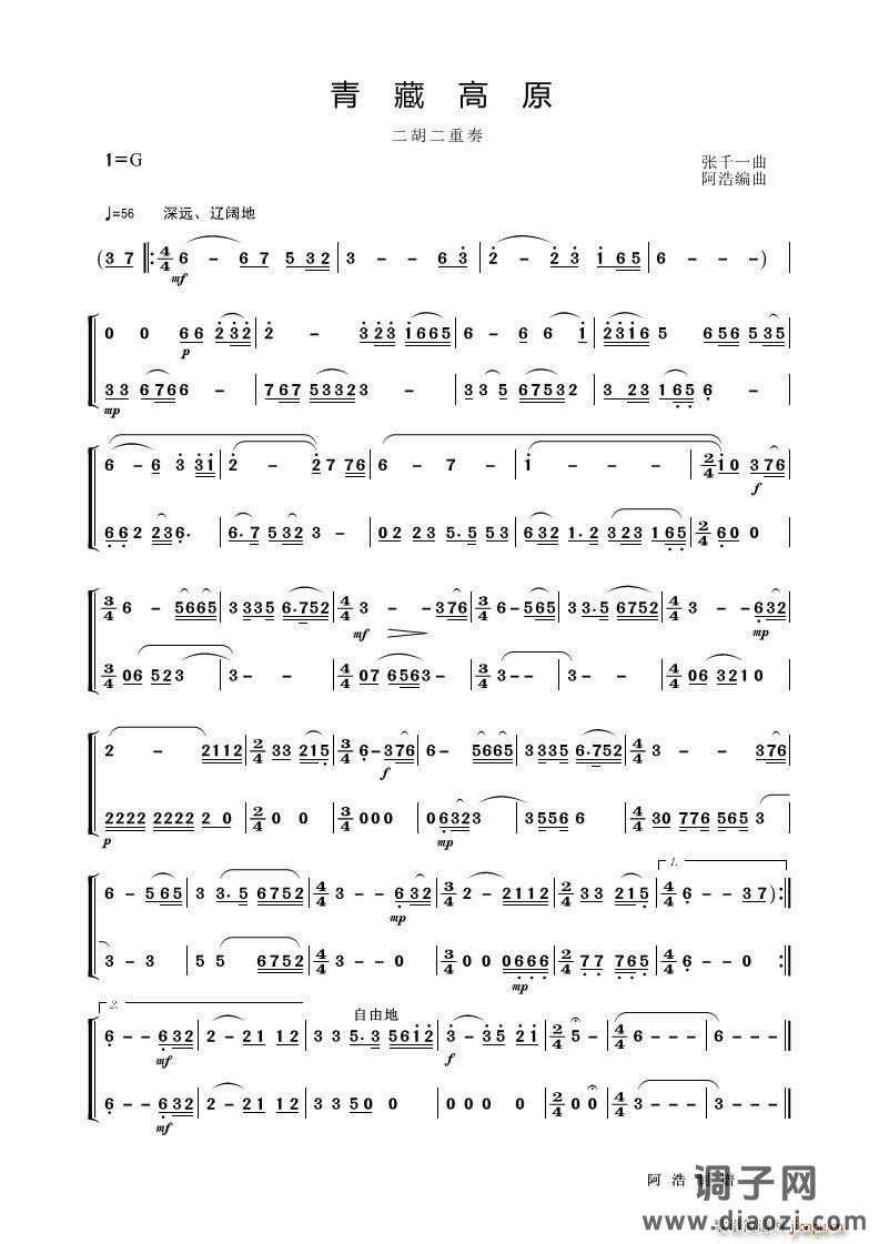 青藏高原（二胡二重奏）