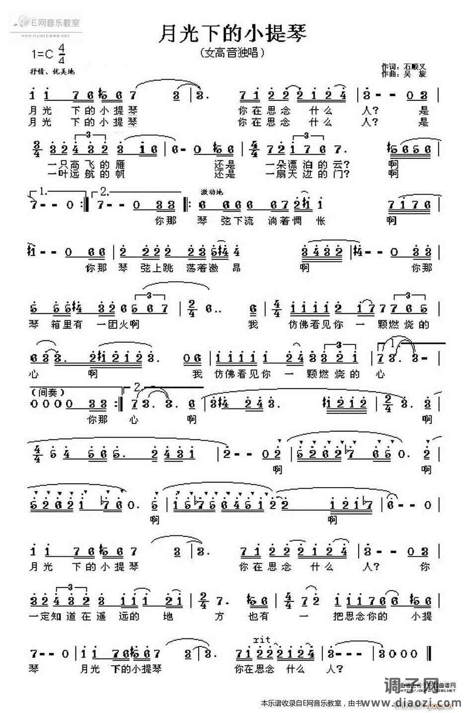 月光下的小提琴-王莉