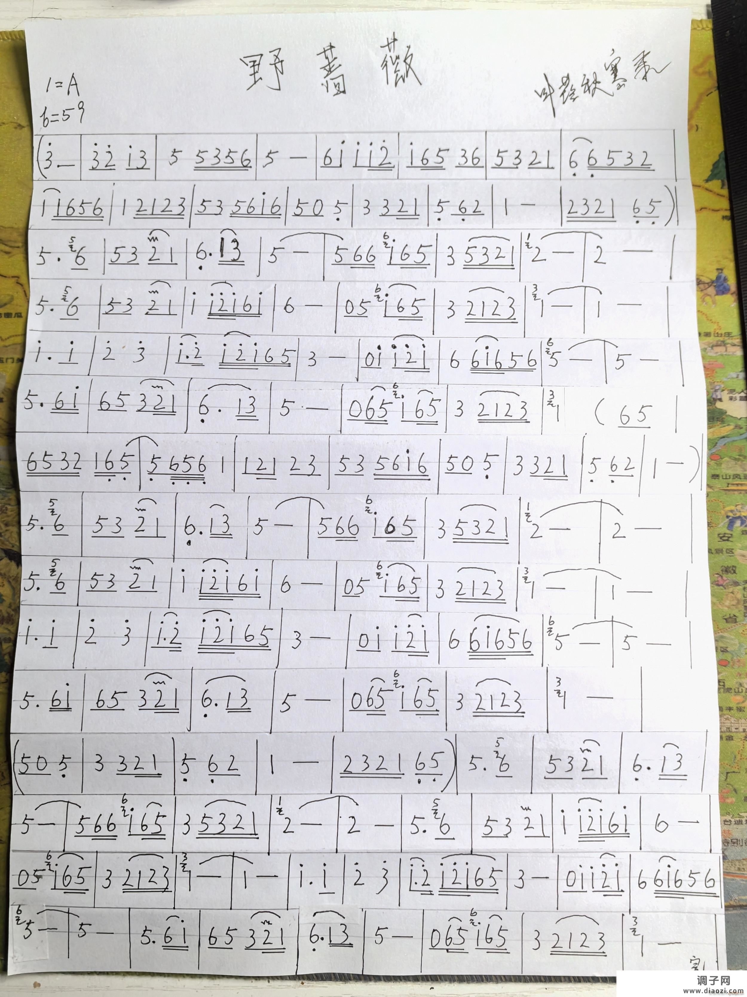 野蔷薇（韩国）