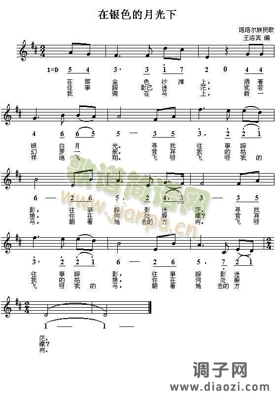 在银色的月光下