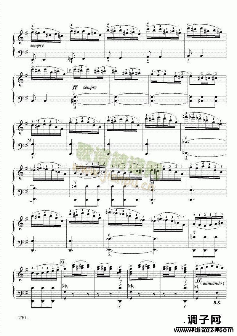 九级乐曲《E大调协奏曲》 键盘类 手风琴