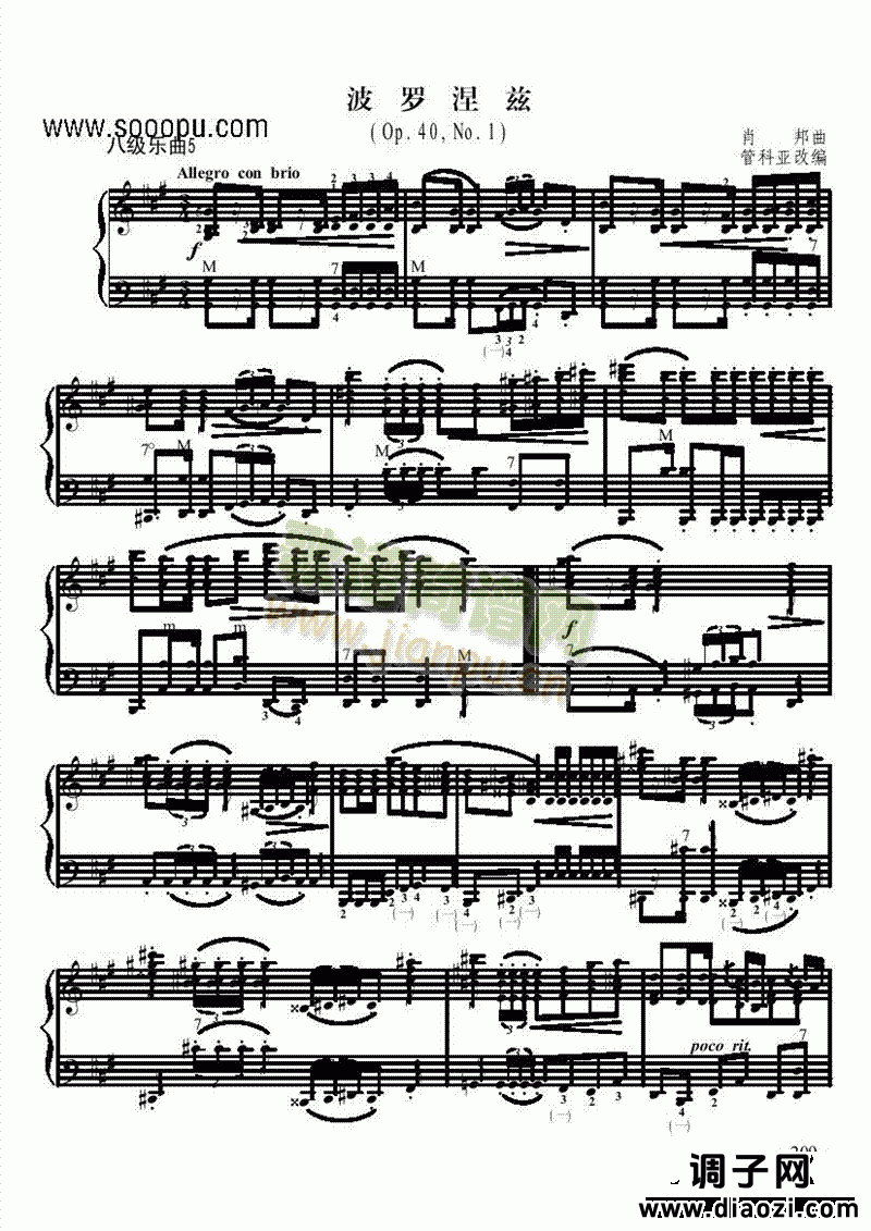 八级乐曲《波罗涅兹》 键盘类 手风琴