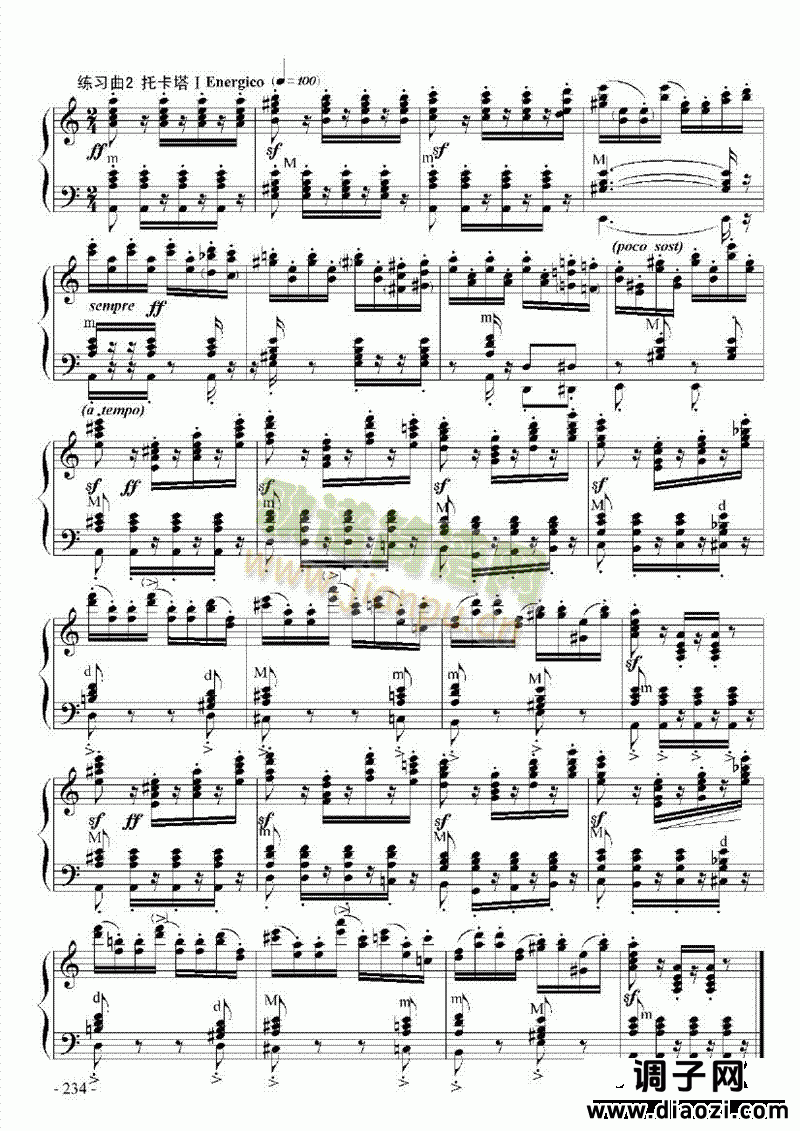 九级乐曲《帕格尼尼主题与变奏》 键盘类 手风琴