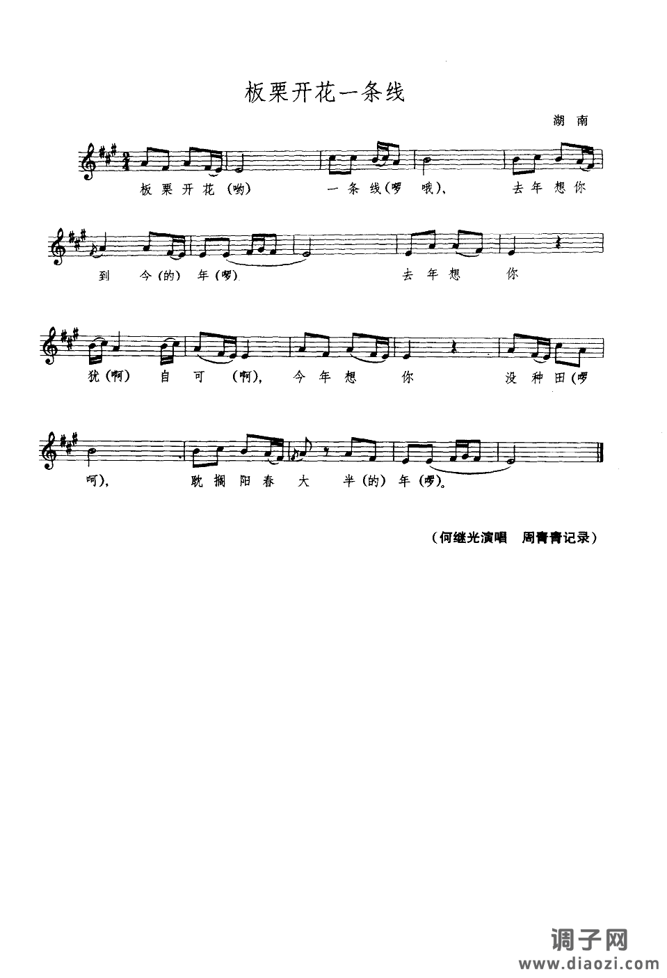 板栗开花一条线