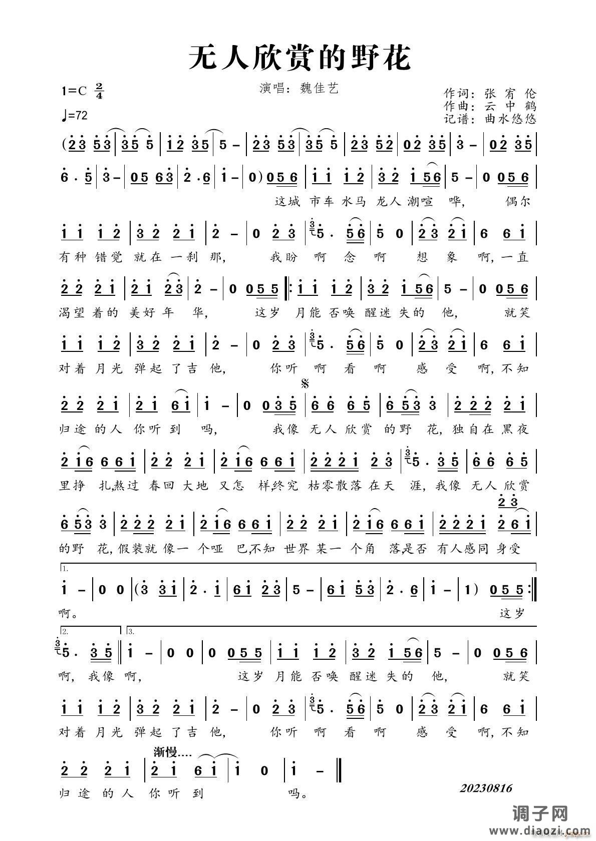 无人欣赏的野花