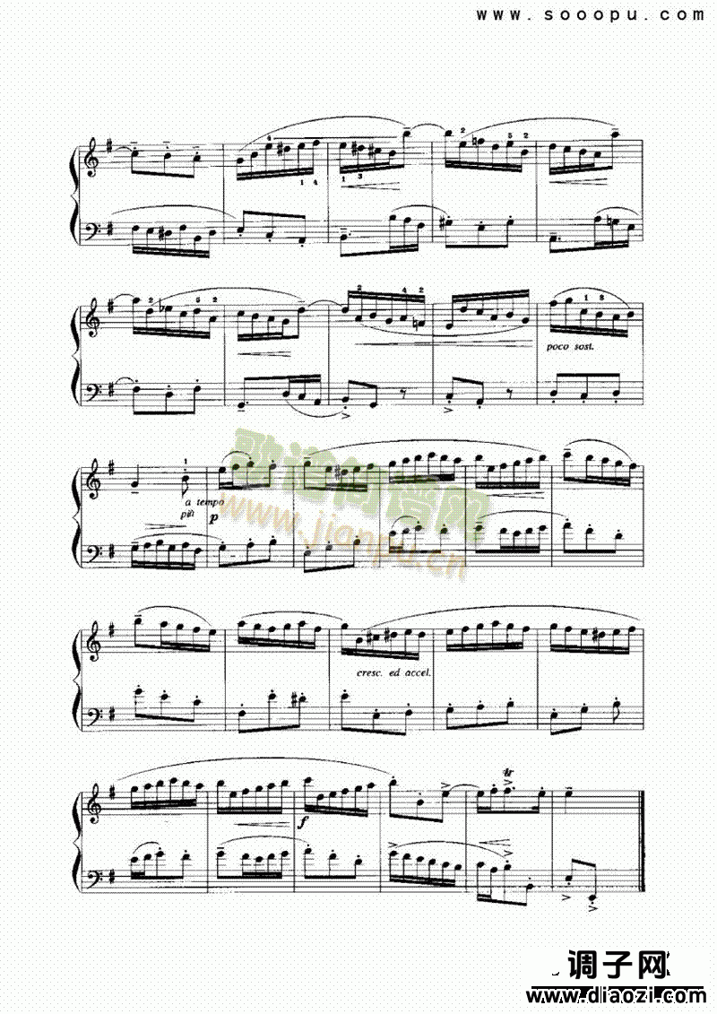 第一帕斯皮耶 键盘类 手风琴