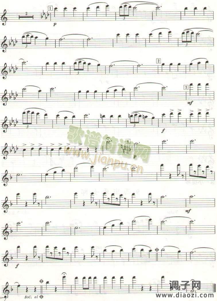 美丽的西班牙女郎