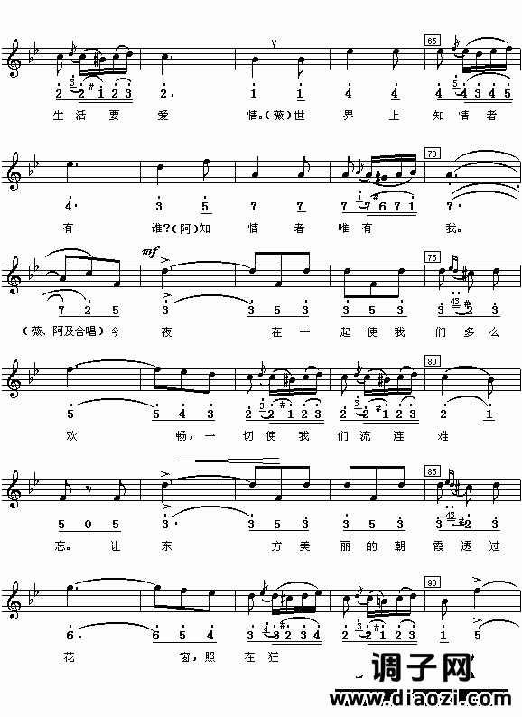 (意)威尔第歌剧《茶花女》选曲：饮酒歌(简线对照)