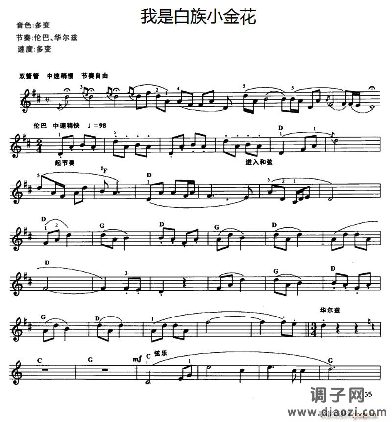 我是白族小金花