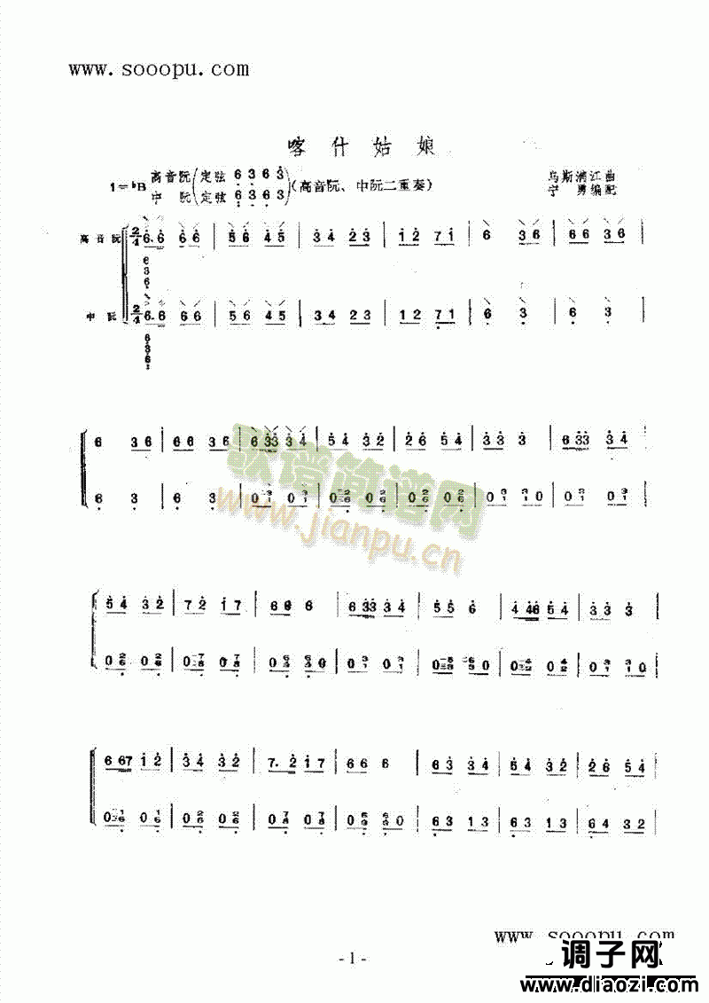 喀什姑娘 民乐类 阮