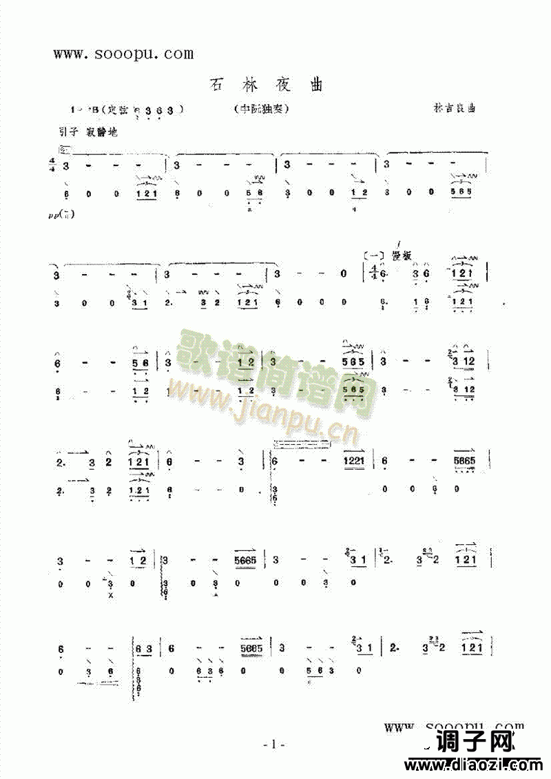 石林夜曲 民乐类 阮