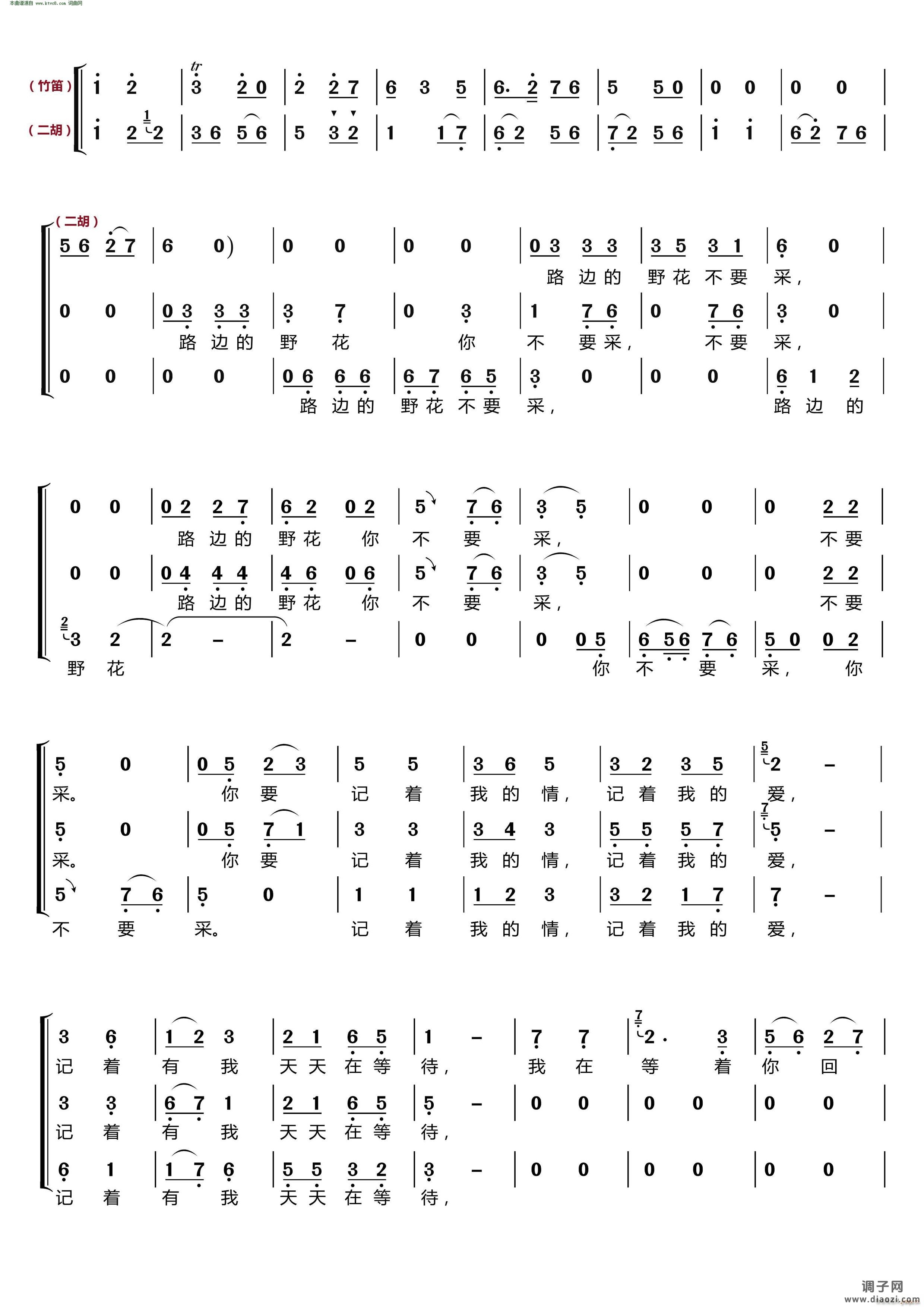 路边的野花你不要采(〔梦之旅合唱组合〕 男女三声部重唱 )