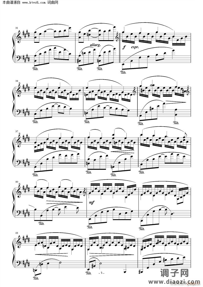 校门口的林荫小道