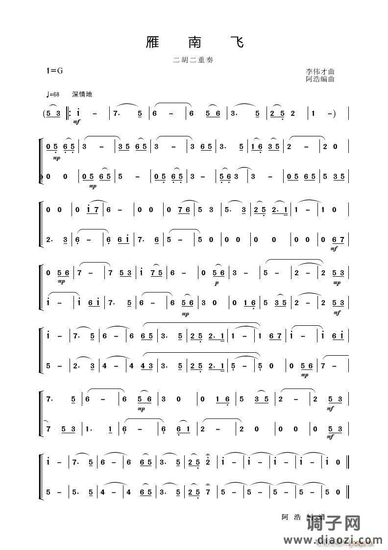 雁南飞（二胡二重奏）