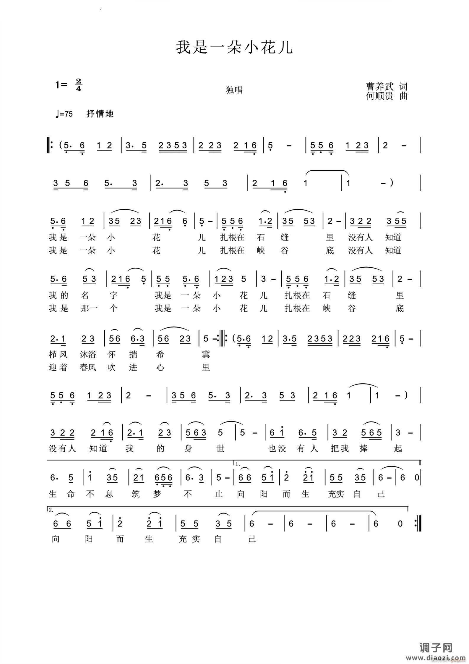 我是一朵小花儿