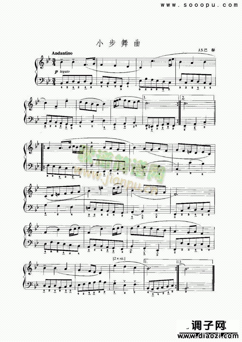 降B大调小步舞曲 键盘类 手风琴