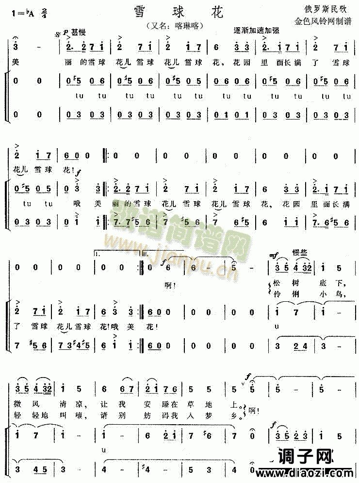 雪球花(又名:喀琳喀、俄罗斯民歌)