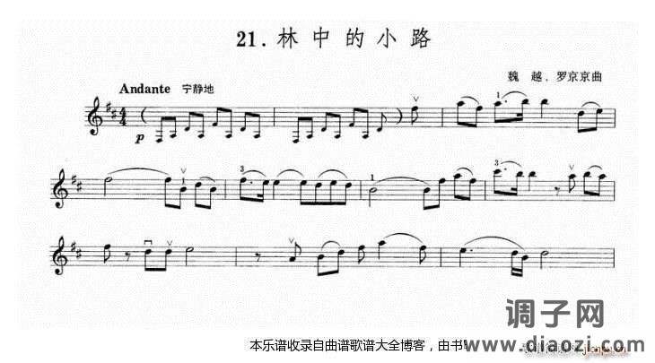 小提琴林中的小路