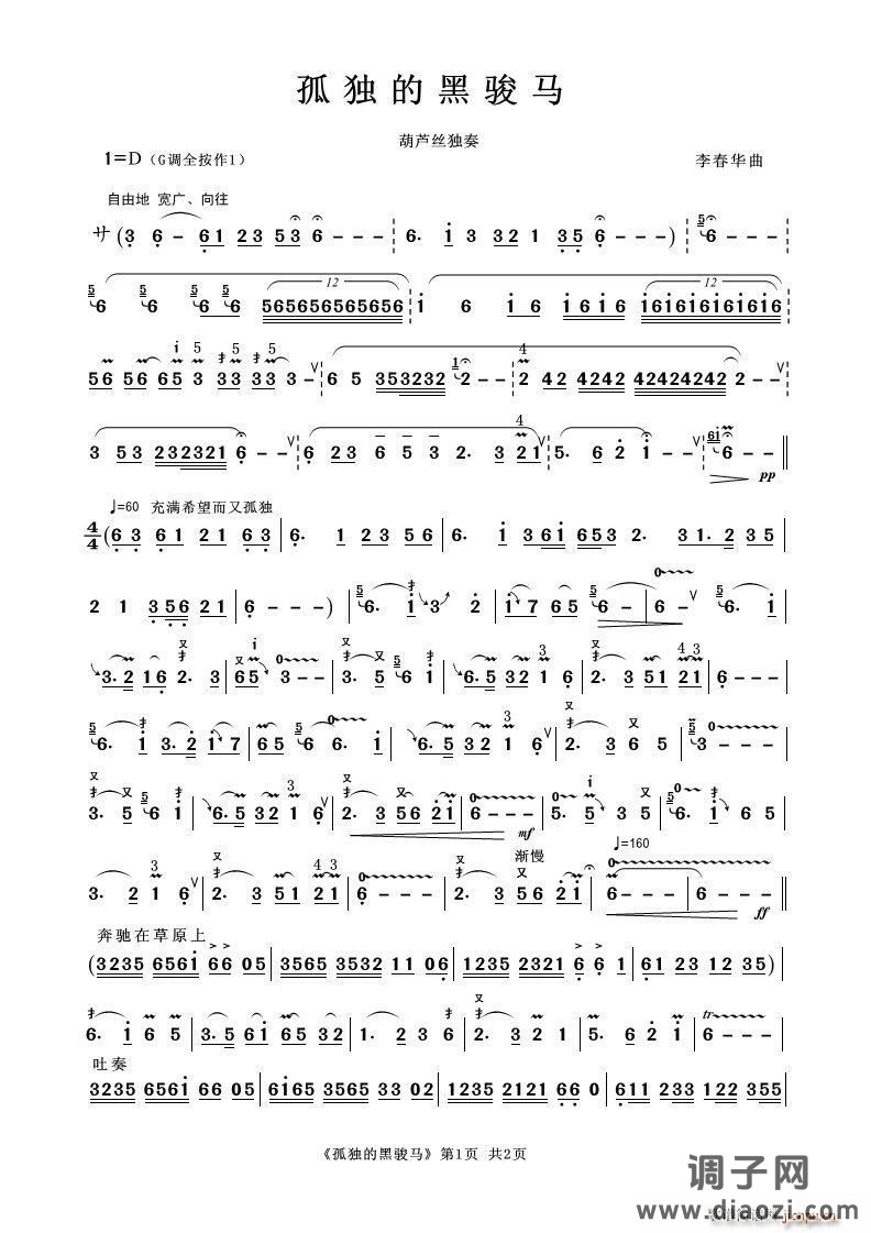 孤独的黑骏马（葫芦丝独奏）