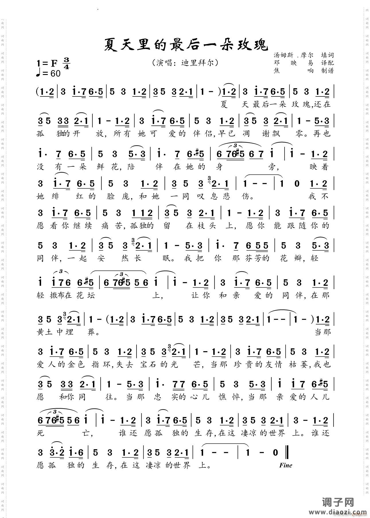 夏日里的最后一朵玫瑰