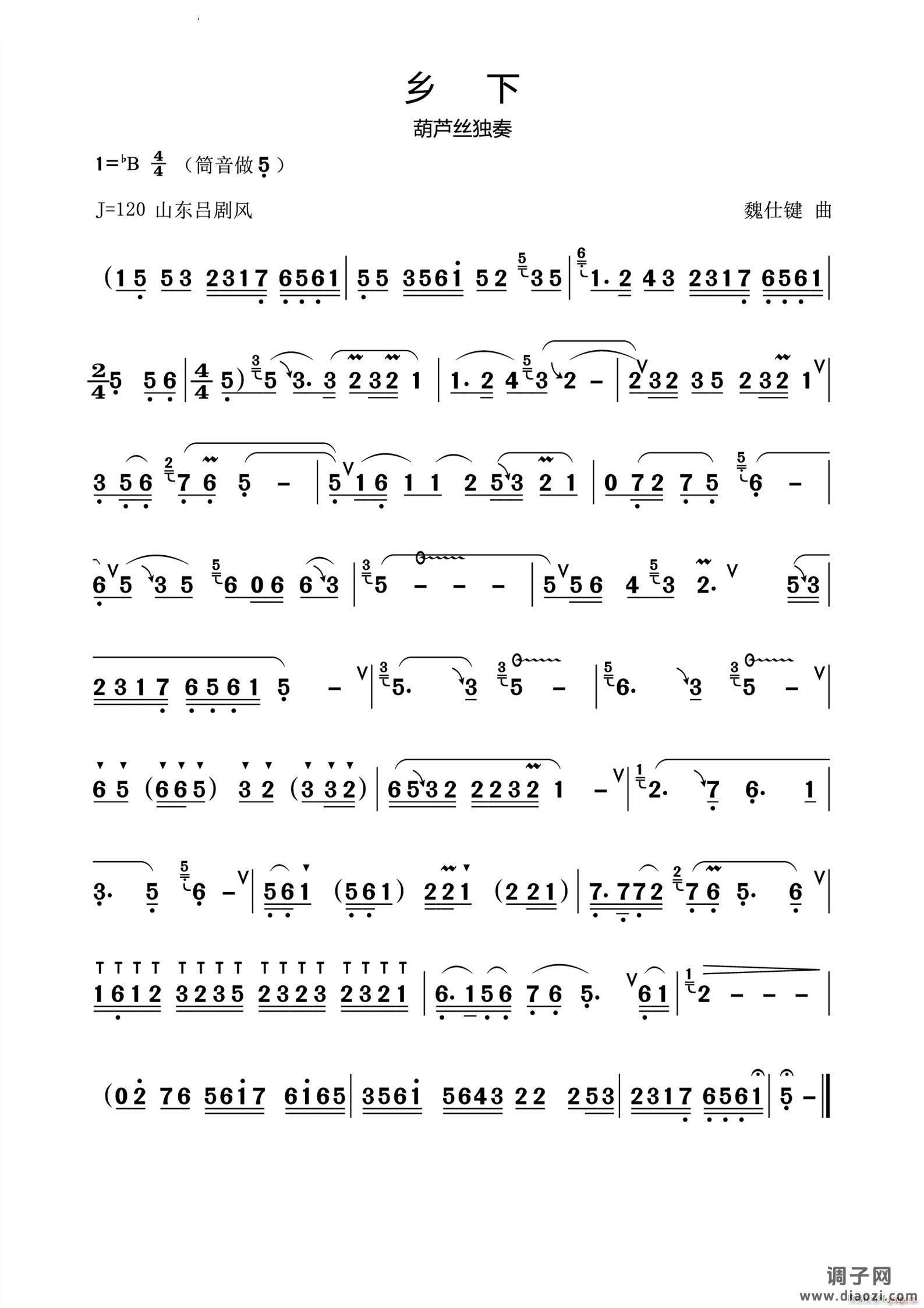 乡下葫芦丝独奏