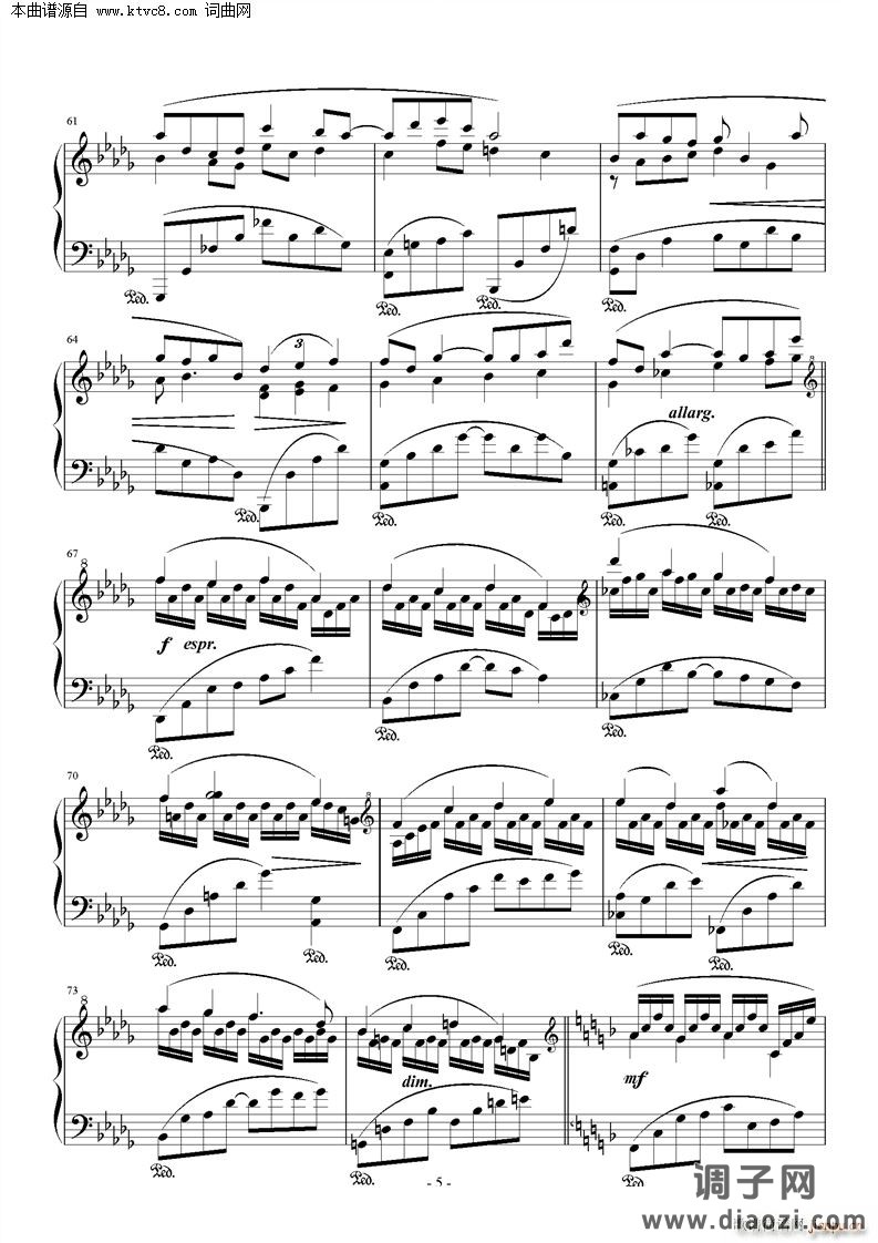 校门口的林荫小道