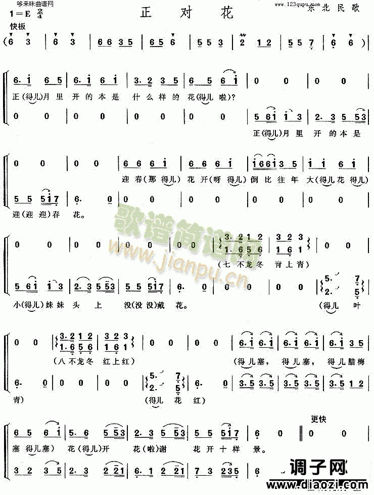 正对花(东北民歌)