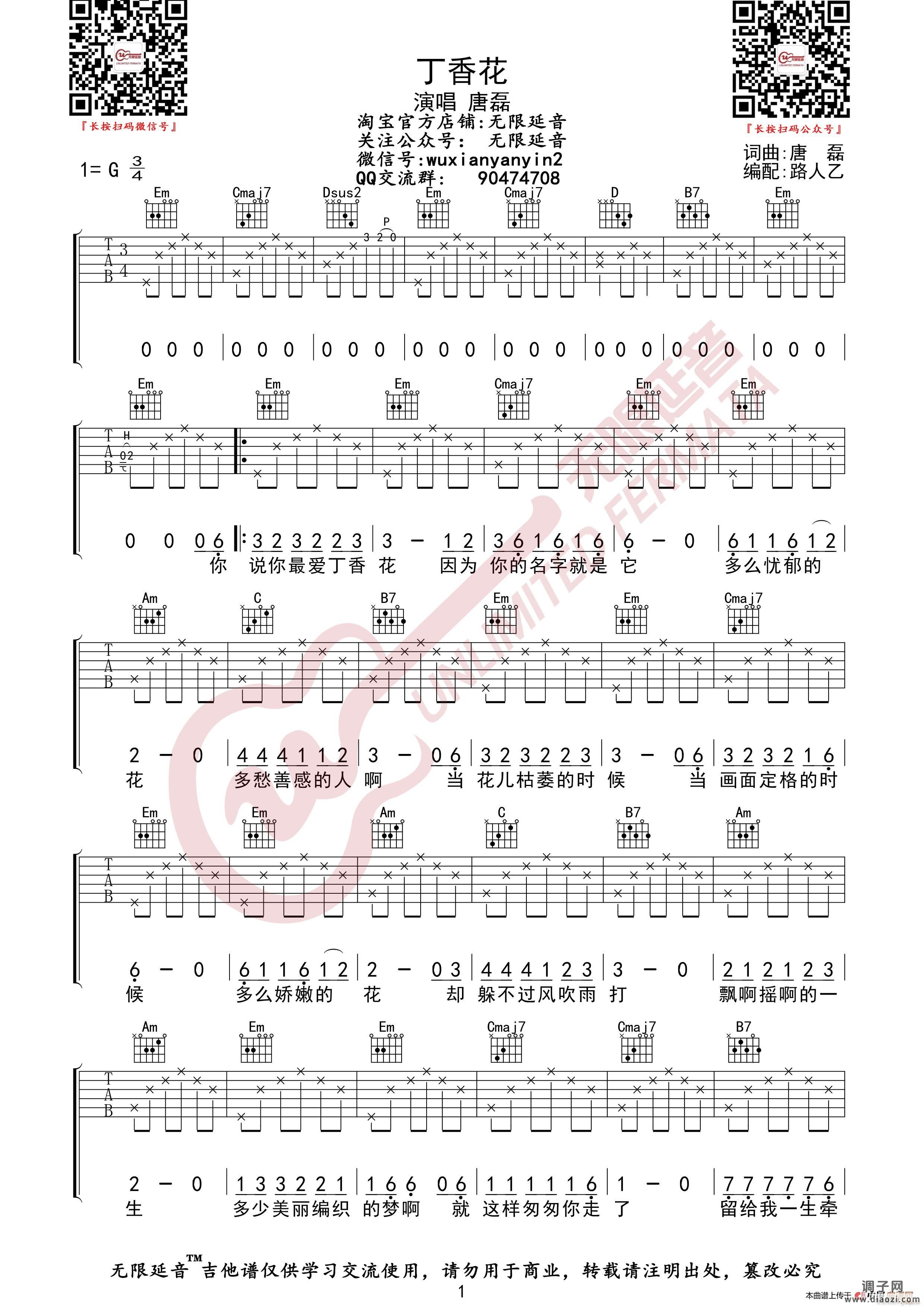 唐磊 丁香花 (无限延音编配)