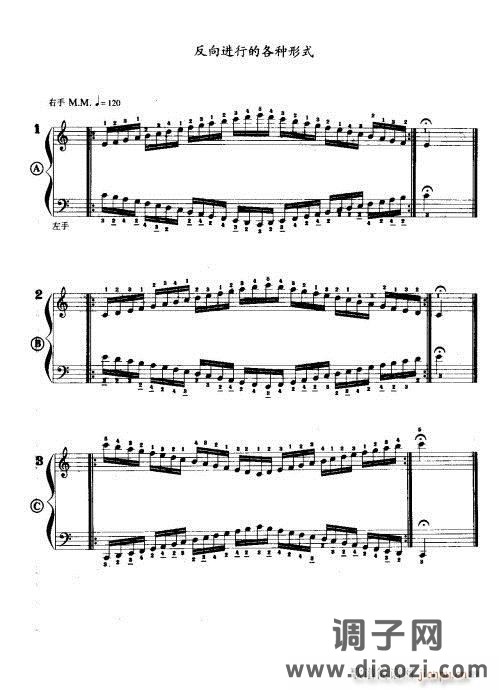 手风琴演奏技巧81-100