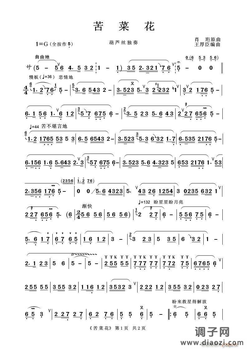 苦菜花（葫芦丝独奏）