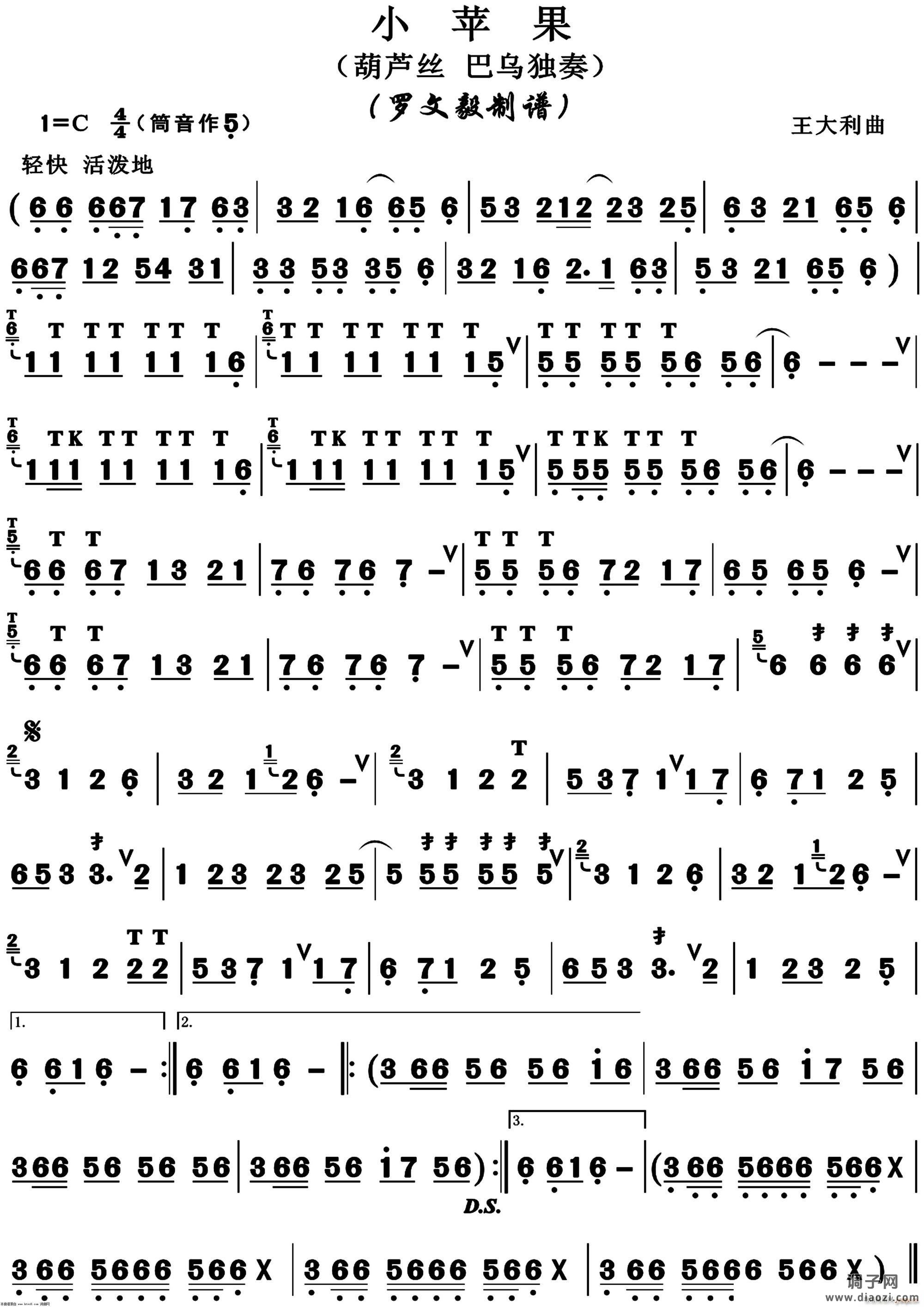 小苹果葫芦丝独奏