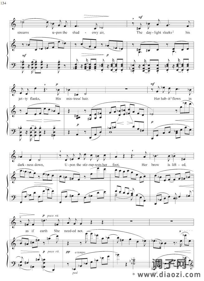 当苗条的索菲娅跨上她的骏马