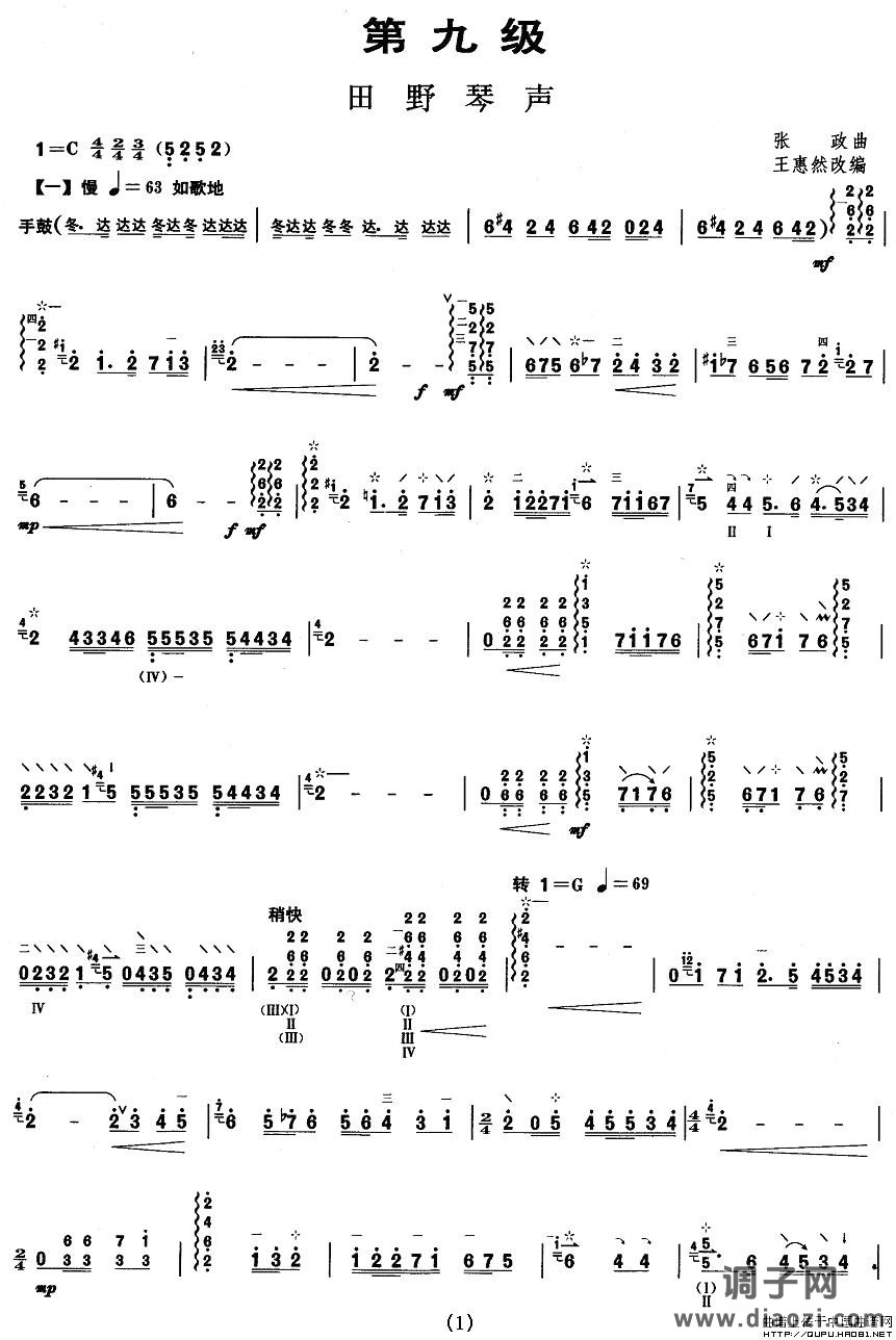柳琴九级：田野琴声