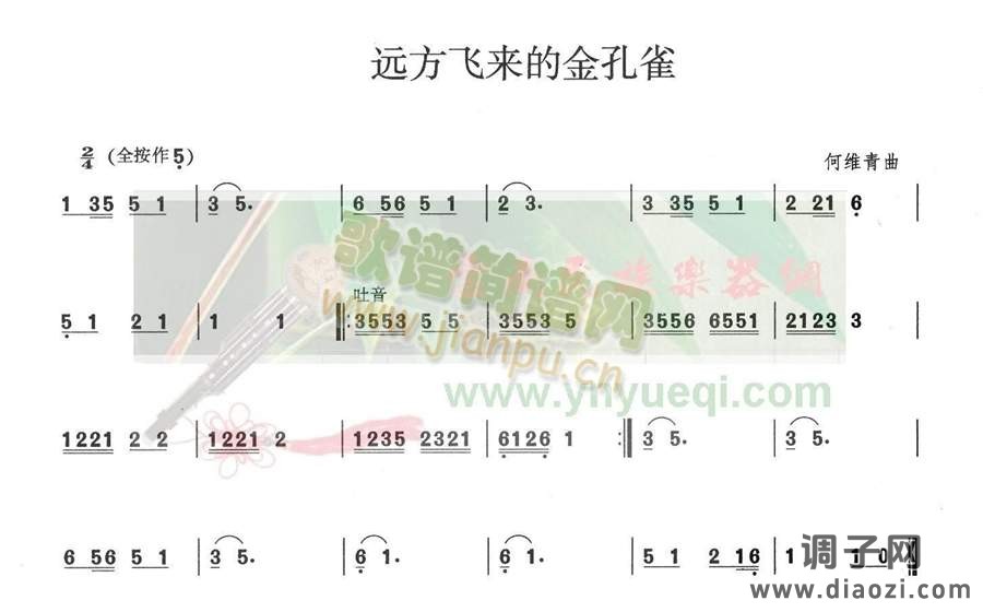 远方飞来的金孔雀