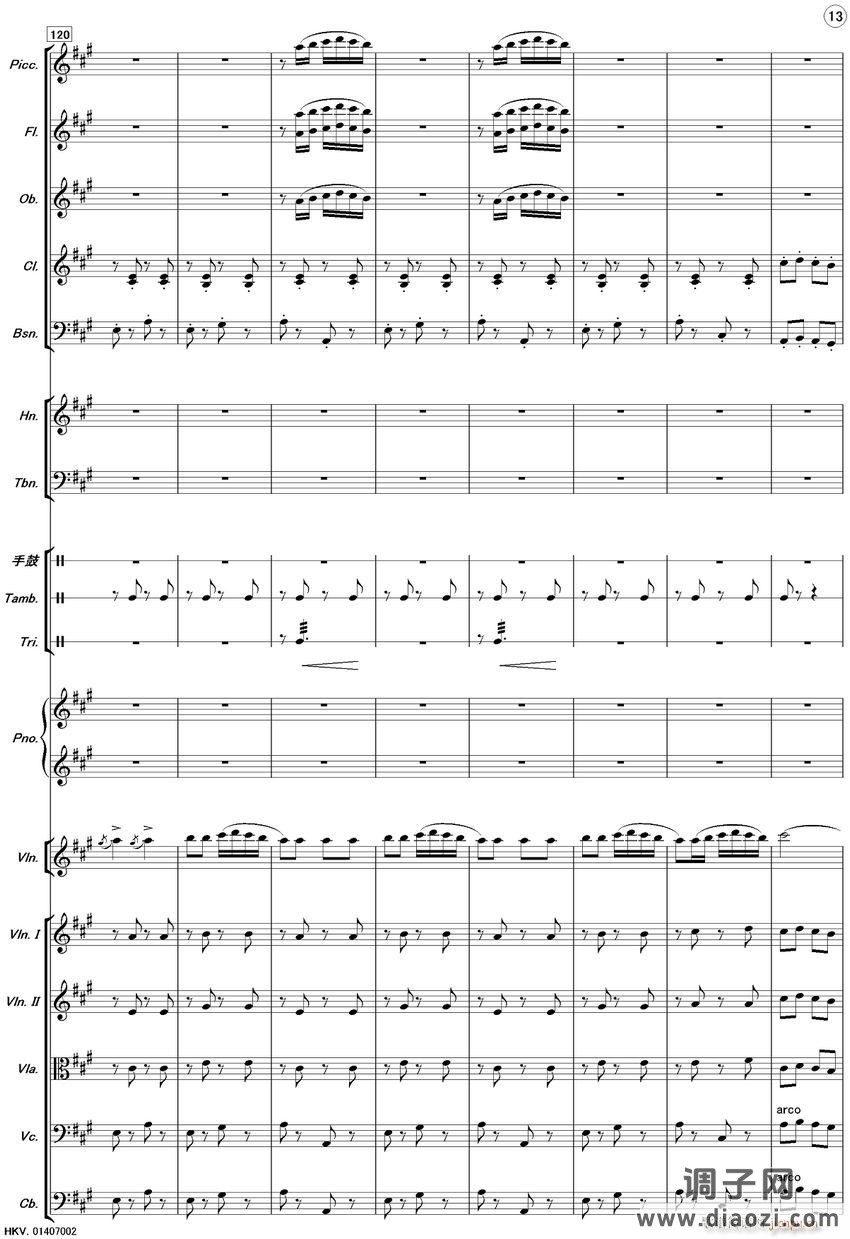 新疆之春（齐奏）13