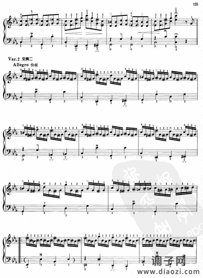 乌克兰主题变奏曲