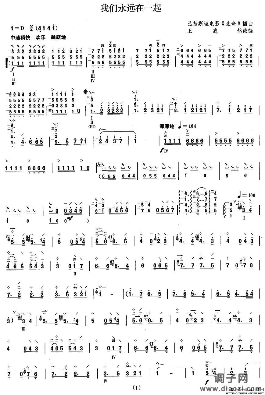 柳琴八级：我们永远在一起