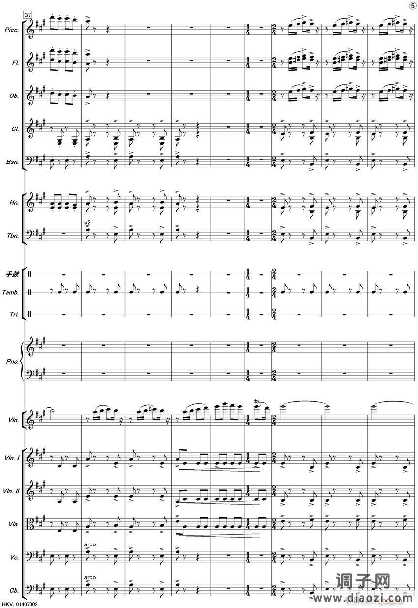 新疆之春(齐奏)5