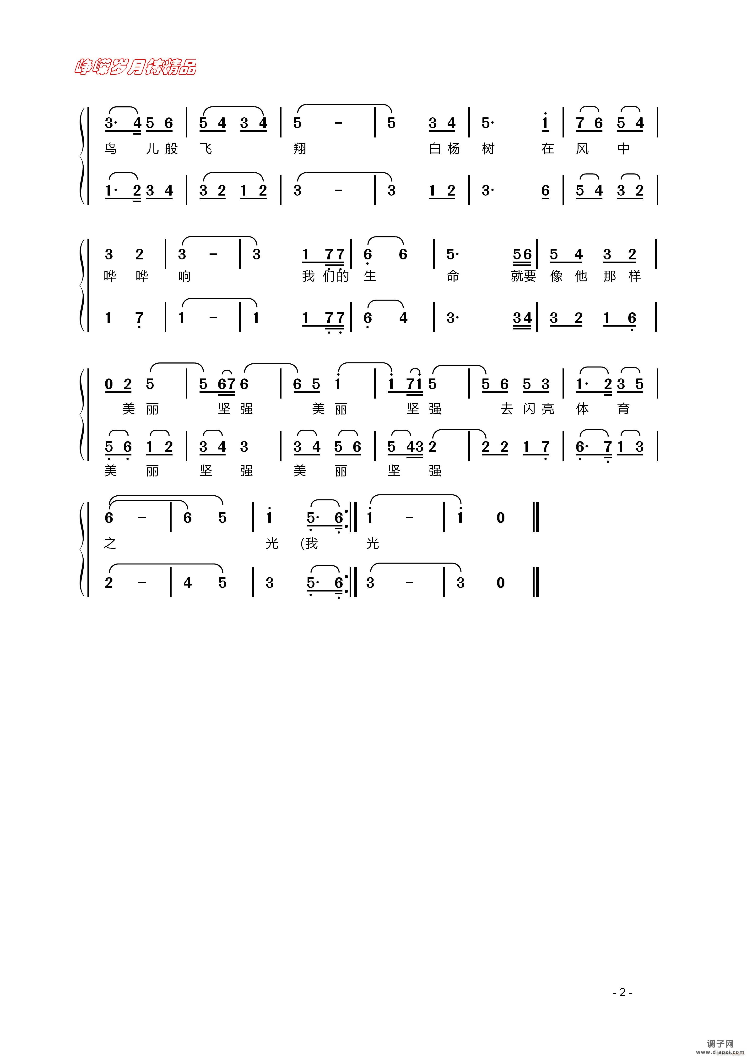 青春闪光（二）