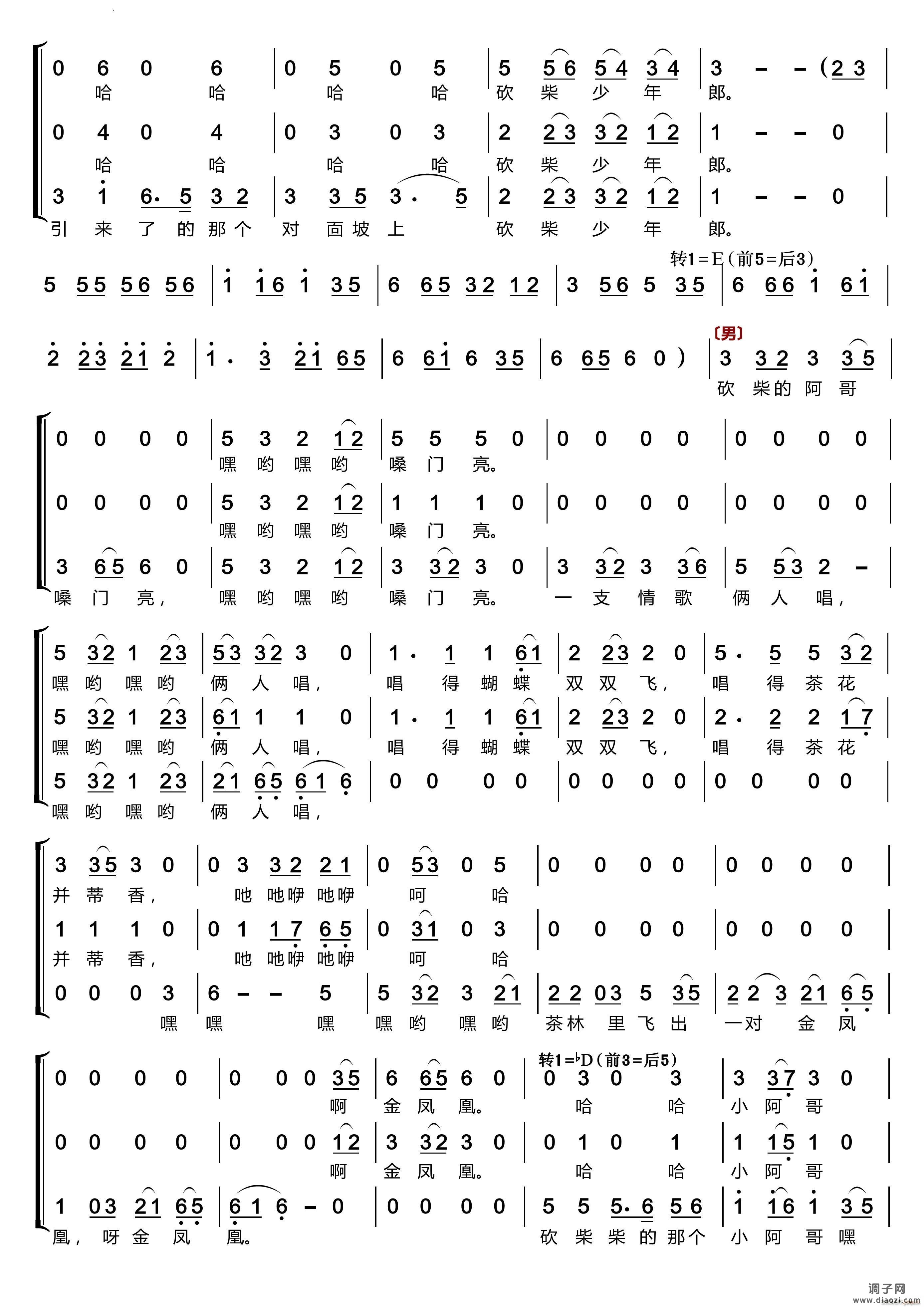 茶山情歌〔梦之旅合唱组合〕男女三声部重唱