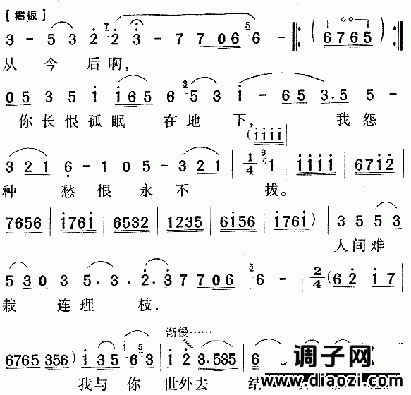 问紫鹃《红楼梦》