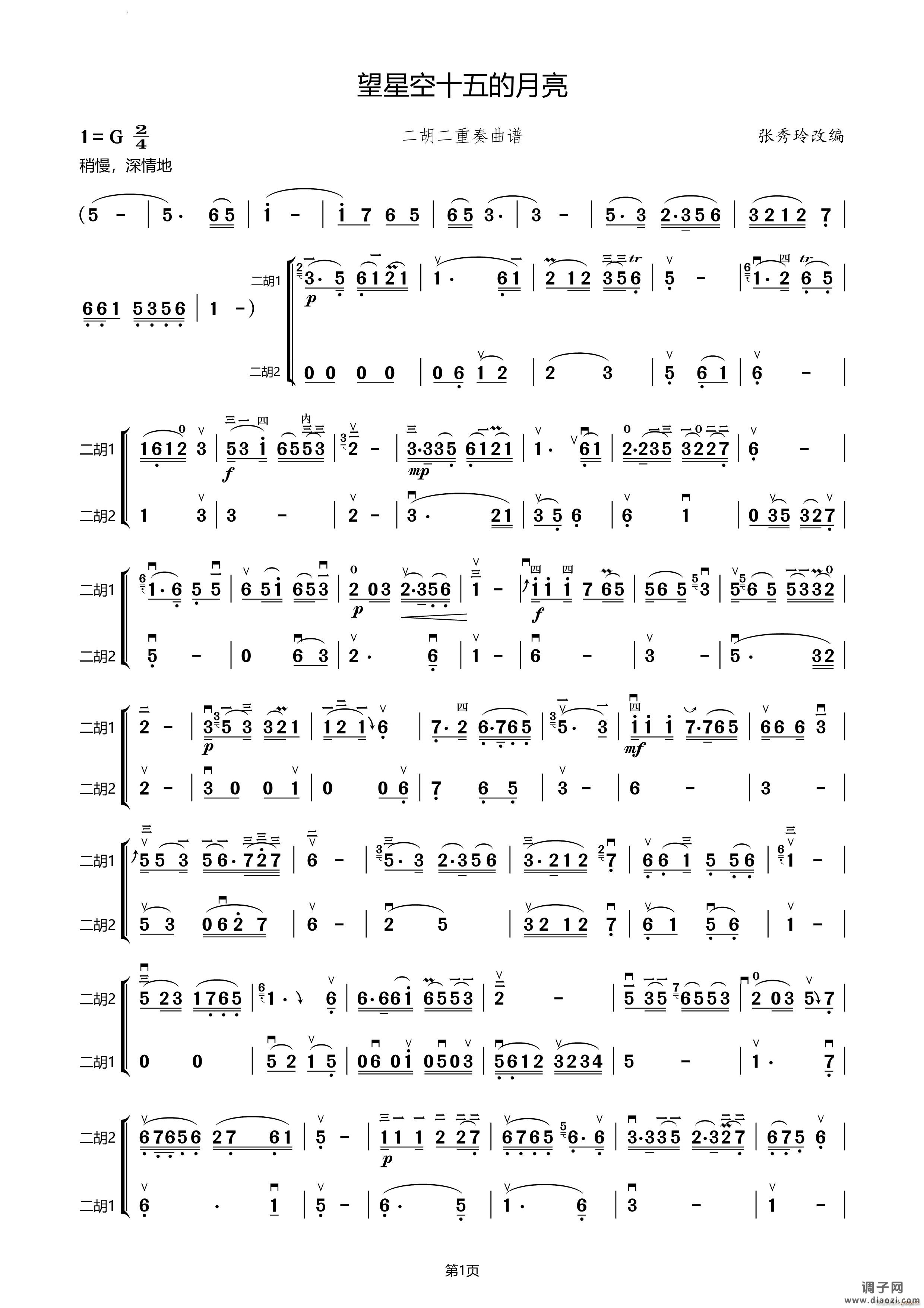 望星空十五的月亮二胡二重奏