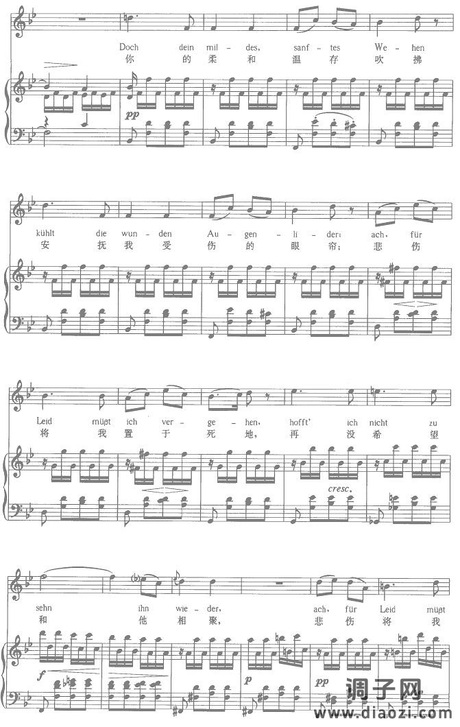 苏莱卡的第二支歌