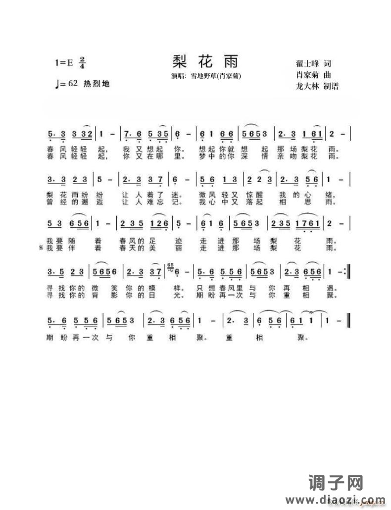 梨花雨肖家菊作曲