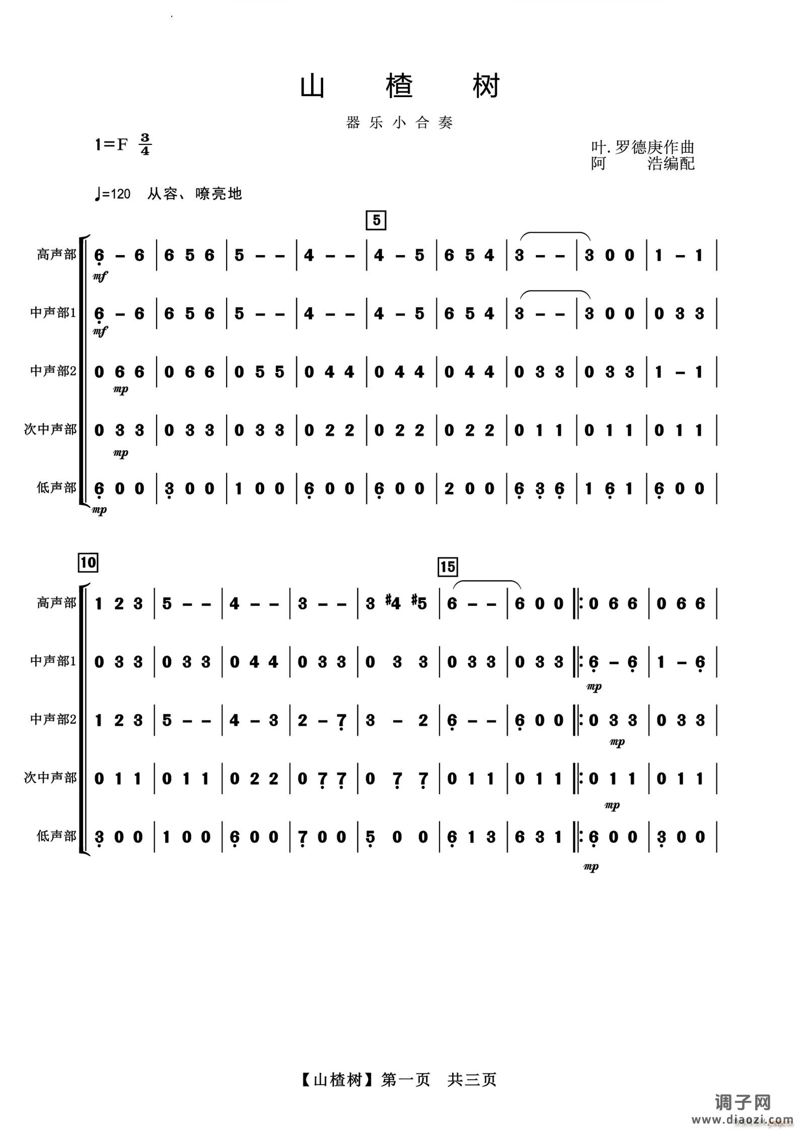 山楂树器乐小合奏