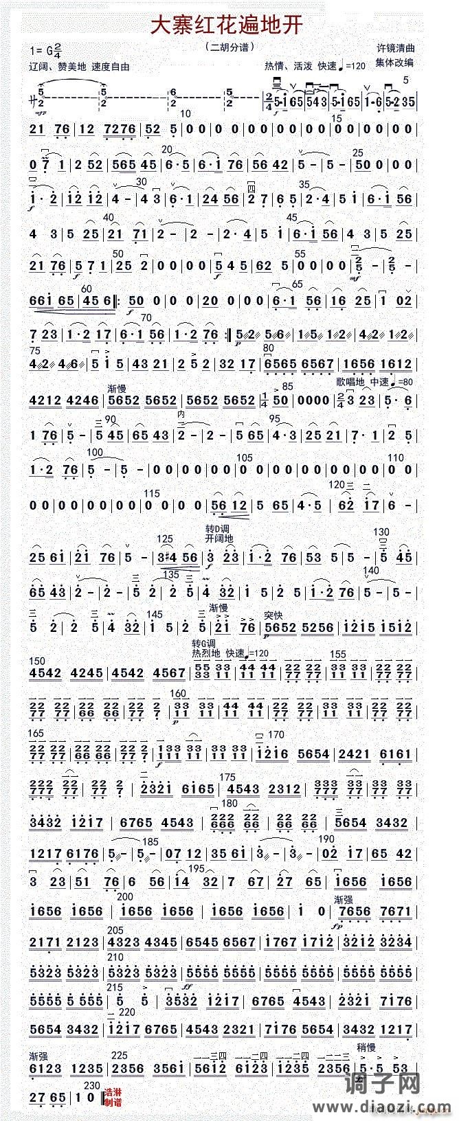 大寨红花遍地开（二胡（修改版））